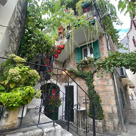 Apartment Ankora *