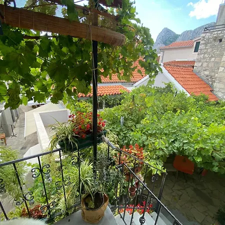 Ankora Omis