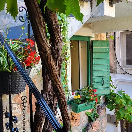 Apartment Ankora